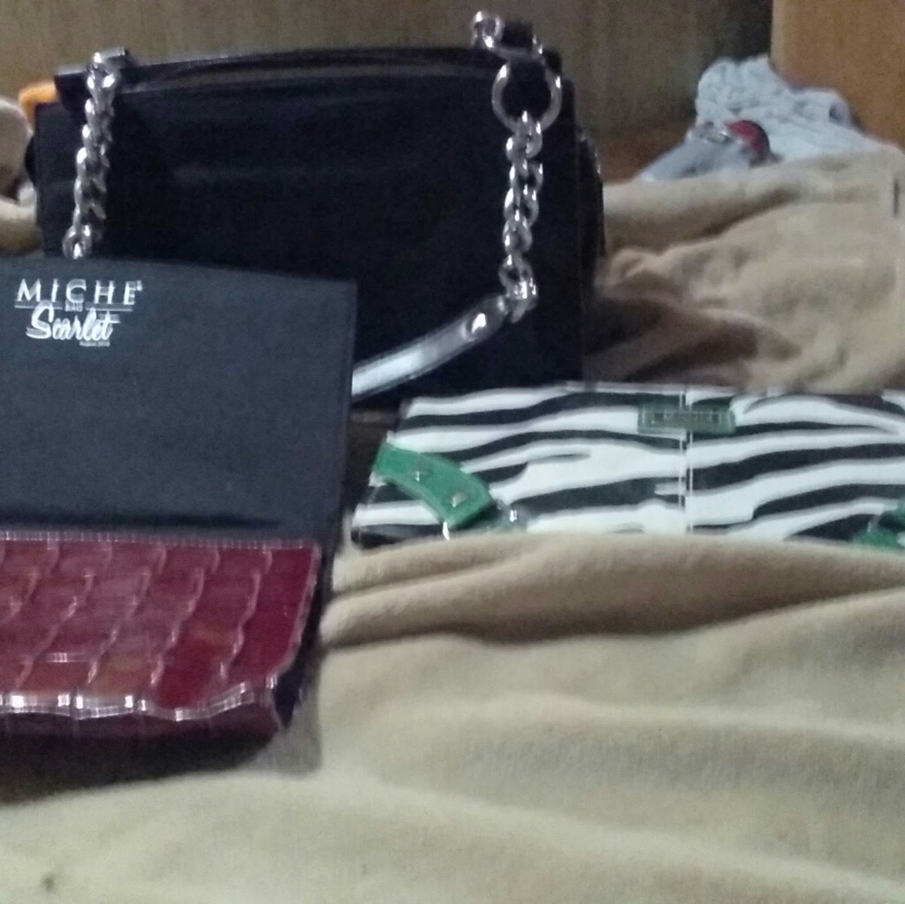 Authentic miche bag with 2 cases